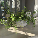 Enkianthus, Queen Anne's Lace and Twigs in a Grey Sandstone effect Bowl RTfact Flowers 
