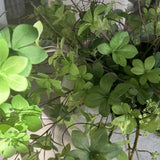 Enkianthus, Queen Anne's Lace and Twigs in a Grey Sandstone effect Bowl RTfact Flowers 
