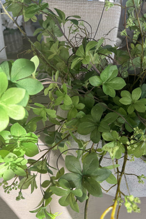 Enkianthus, Queen Anne's Lace and Twigs in a Grey Sandstone effect Bowl