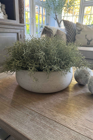 Curly Grass in a Light Stone Bowl