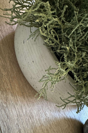 Curly Grass in a Light Stone Bowl