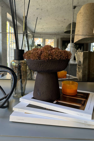 Echinops in a Rustic Brown Metal Pedestal Bowl (Tall)