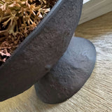 Echinops in a Rustic Brown Metal Pedestal Bowl (Tall) RTfact Flowers 