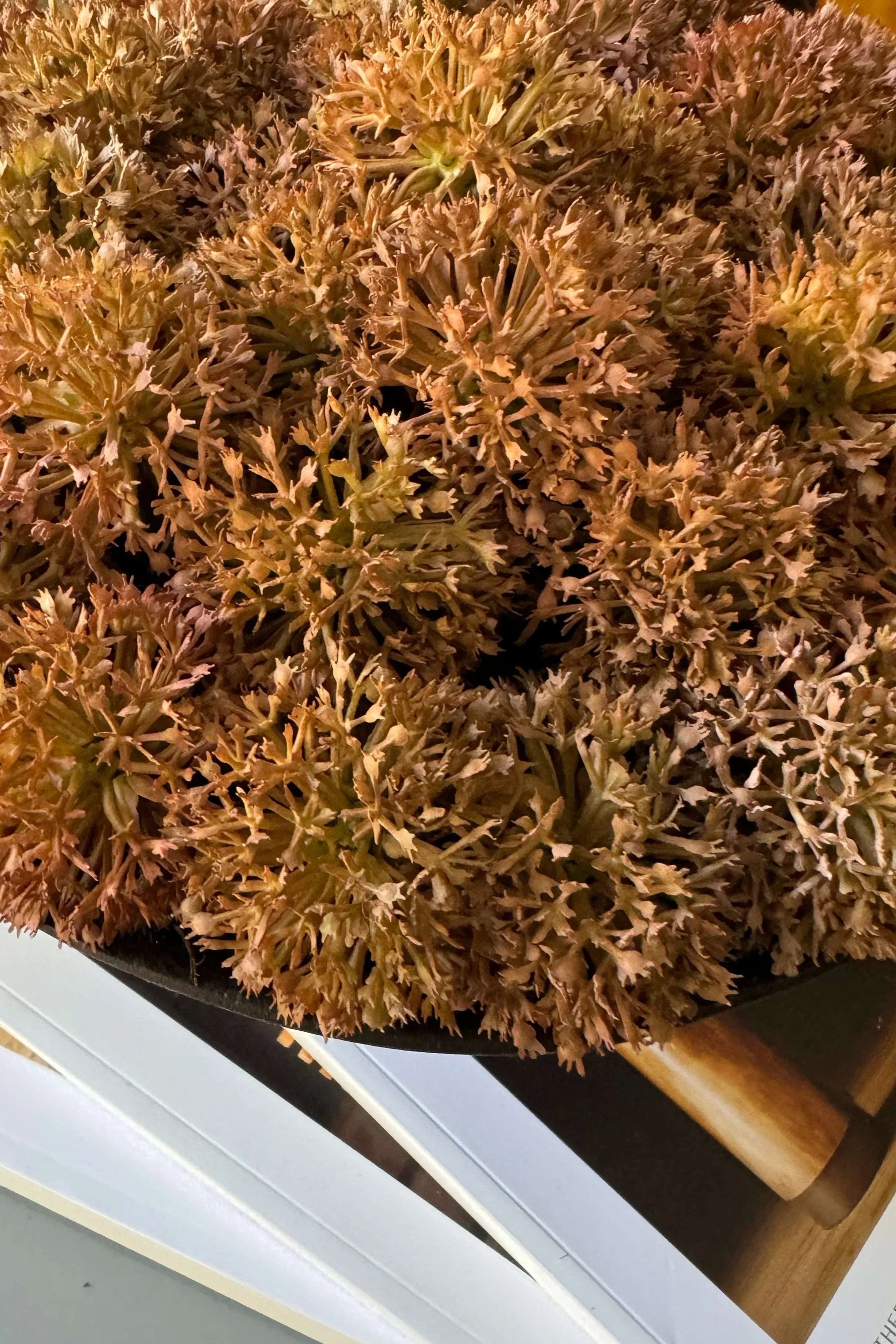 Echinops in a Rustic Brown Metal Pedestal Bowl RTfact Flowers 