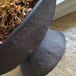 Echinops in a Rustic Brown Metal Pedestal Bowl RTfact Flowers 