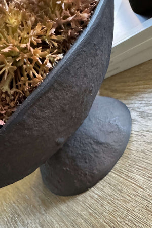 Echinops in a Rustic Brown Metal Pedestal Bowl