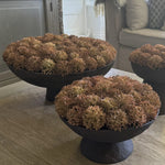 Echinops in a Rustic Brown Metal Pedestal Bowl RTfact Flowers 