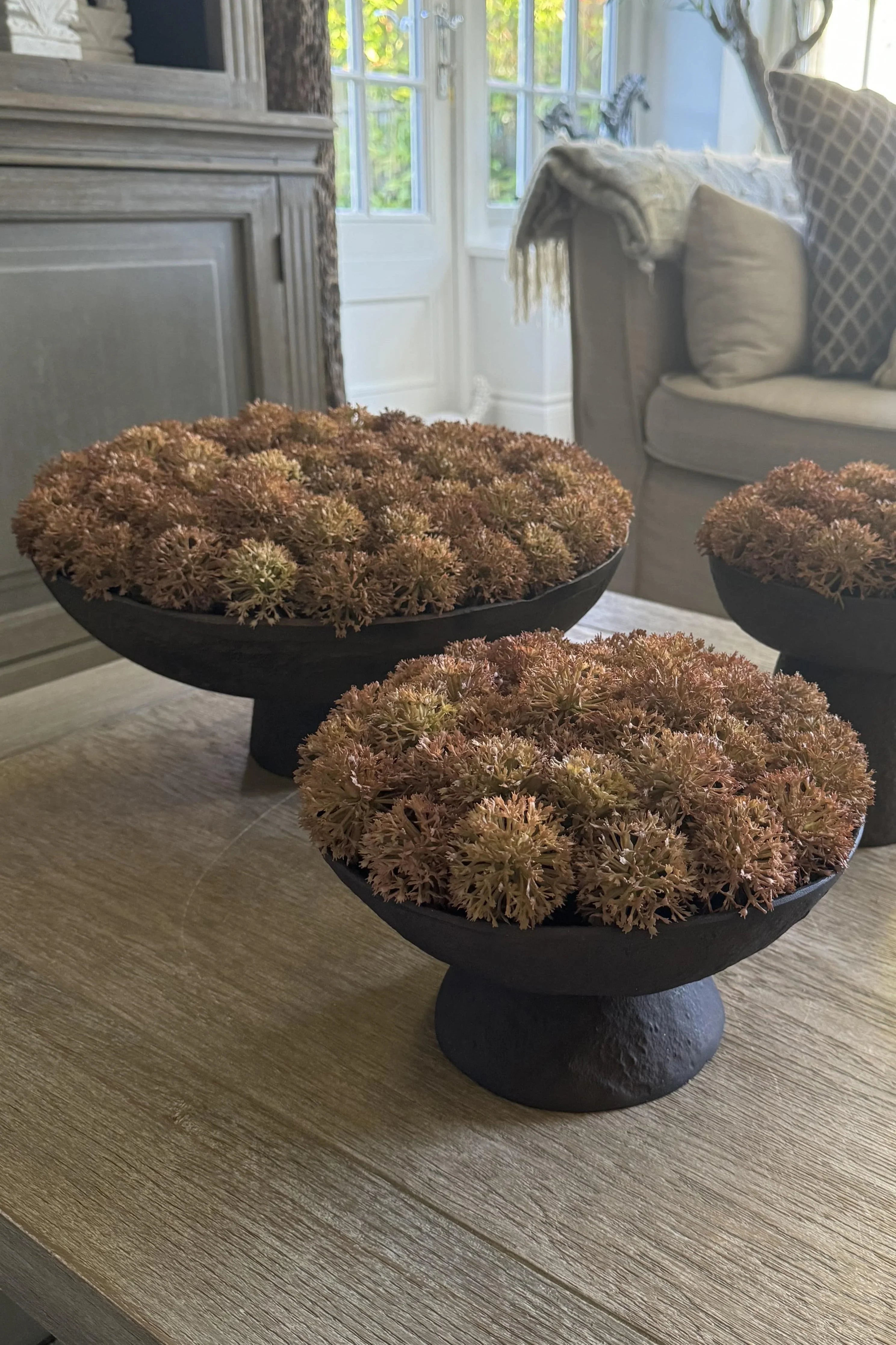 Echinops in a Rustic Brown Metal Pedestal Bowl RTfact Flowers 