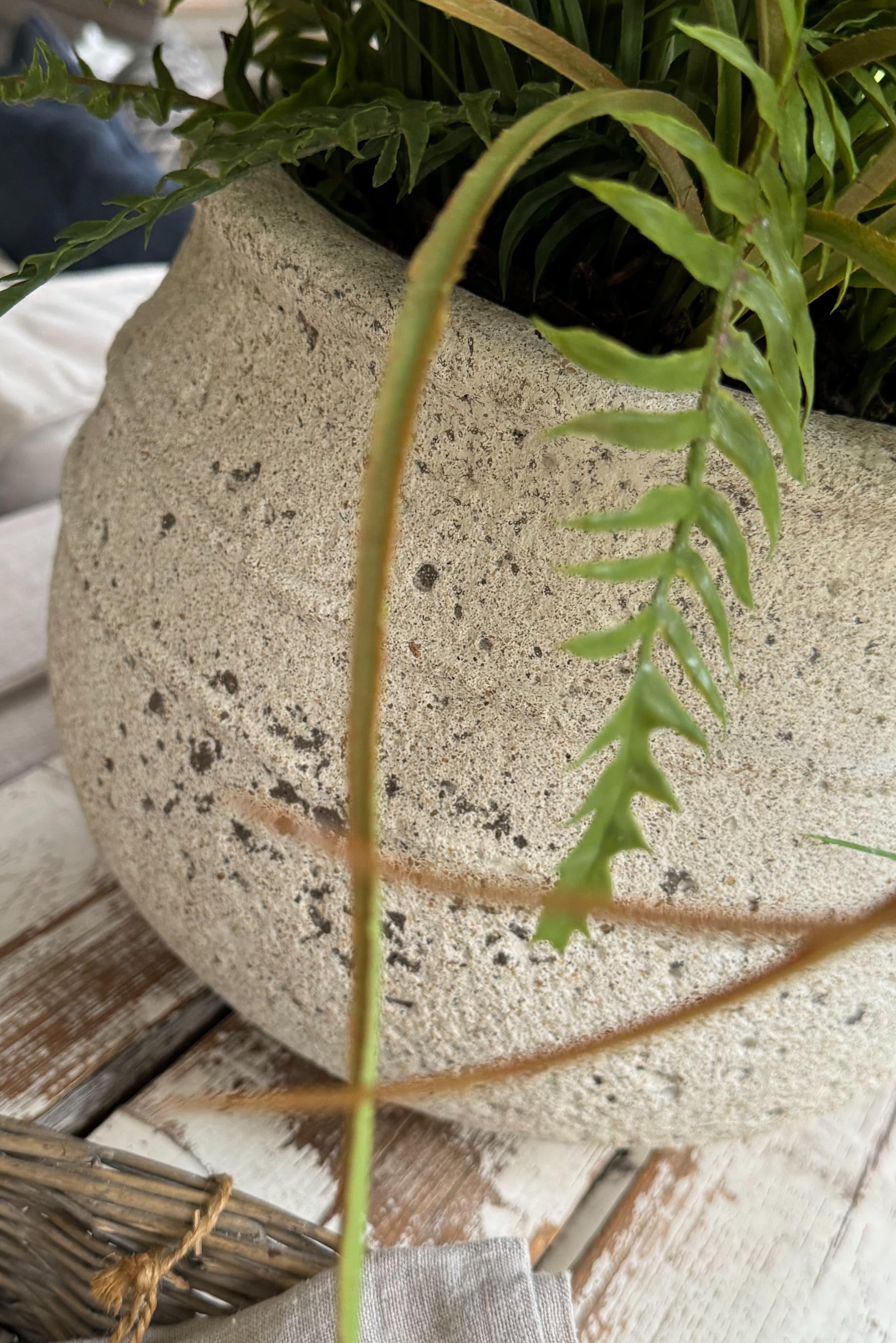 Queen Anne's Lace and Grass in a Cream Stone Pot RTfact Flowers 