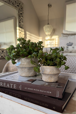 Baby Succulents in a Glazed Ceramic Vase (Low)