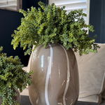 Mini Plant in a Beige Dotty/Wavy Glass Bubble Vase RTfact Flowers 
