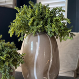 Mini Plant in a Beige Dotty/Wavy Glass Bubble Vase RTfact Flowers 