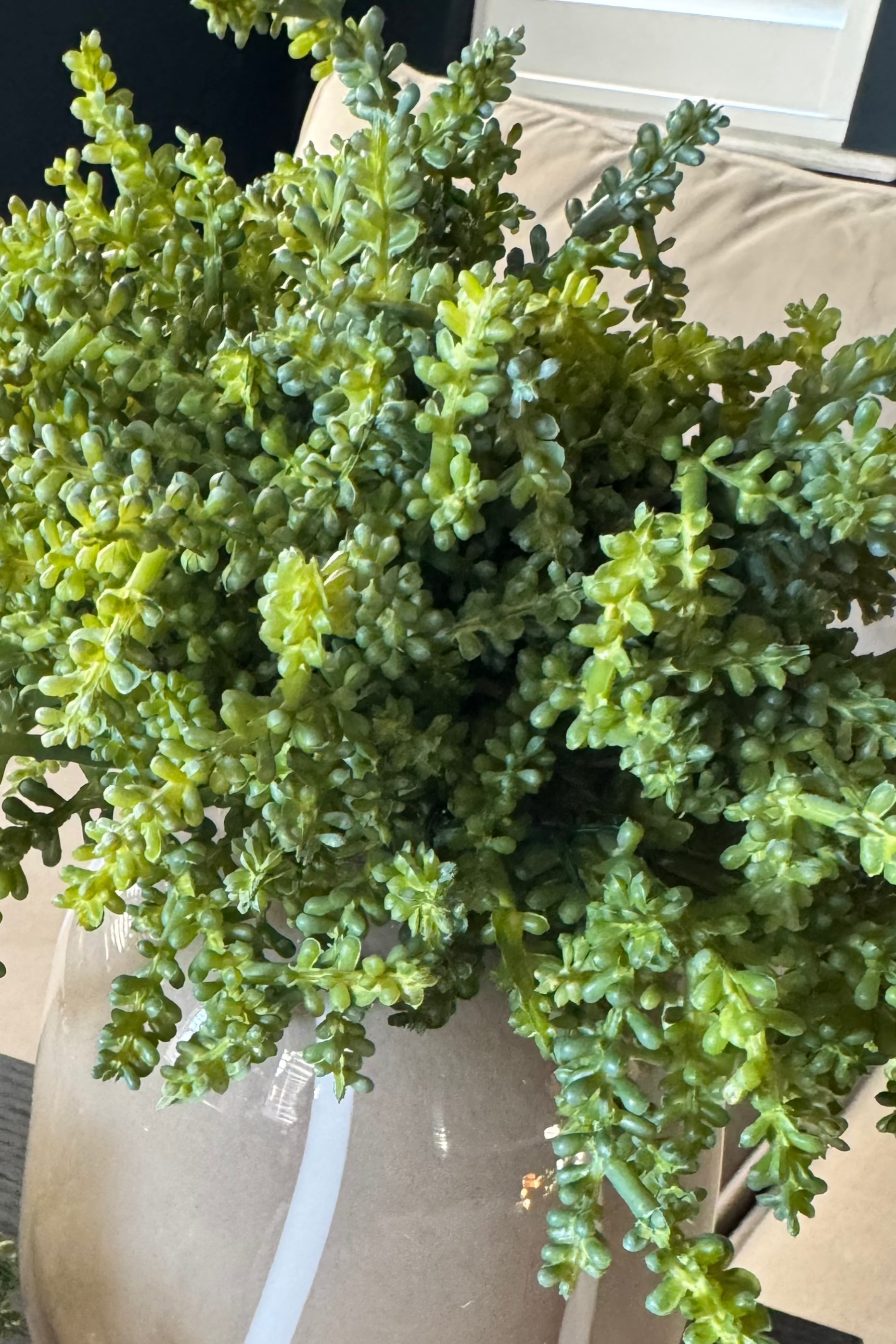 Mini Plant in a Beige Dotty/Wavy Glass Bubble Vase RTfact Flowers 