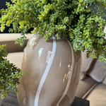 Mini Plant in a Beige Dotty/Wavy Glass Bubble Vase RTfact Flowers 