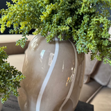 Mini Plant in a Beige Dotty/Wavy Glass Bubble Vase RTfact Flowers 