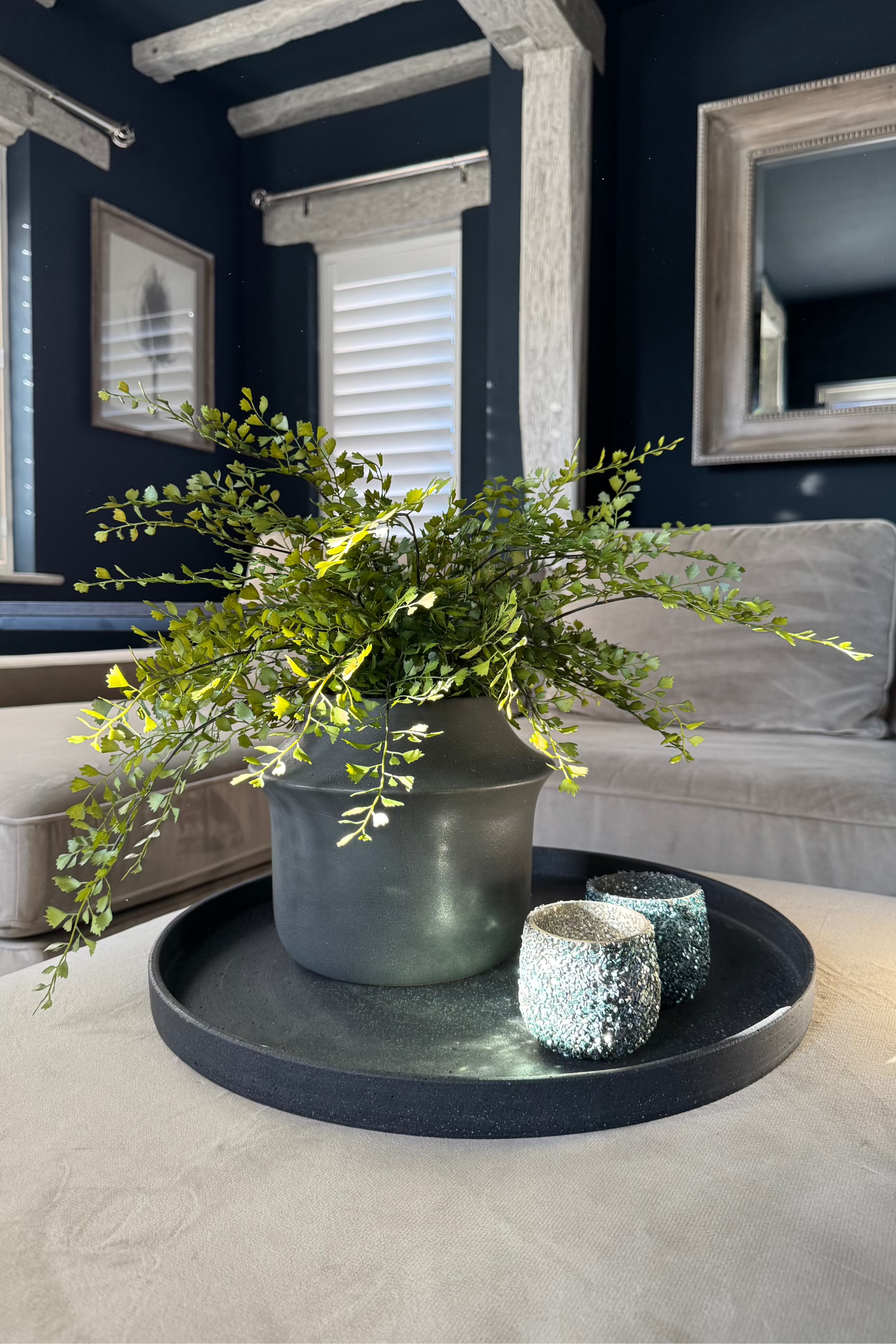 Maidenhair Fern in a Dark Grey Ceramic Pot RTfact Flowers 
