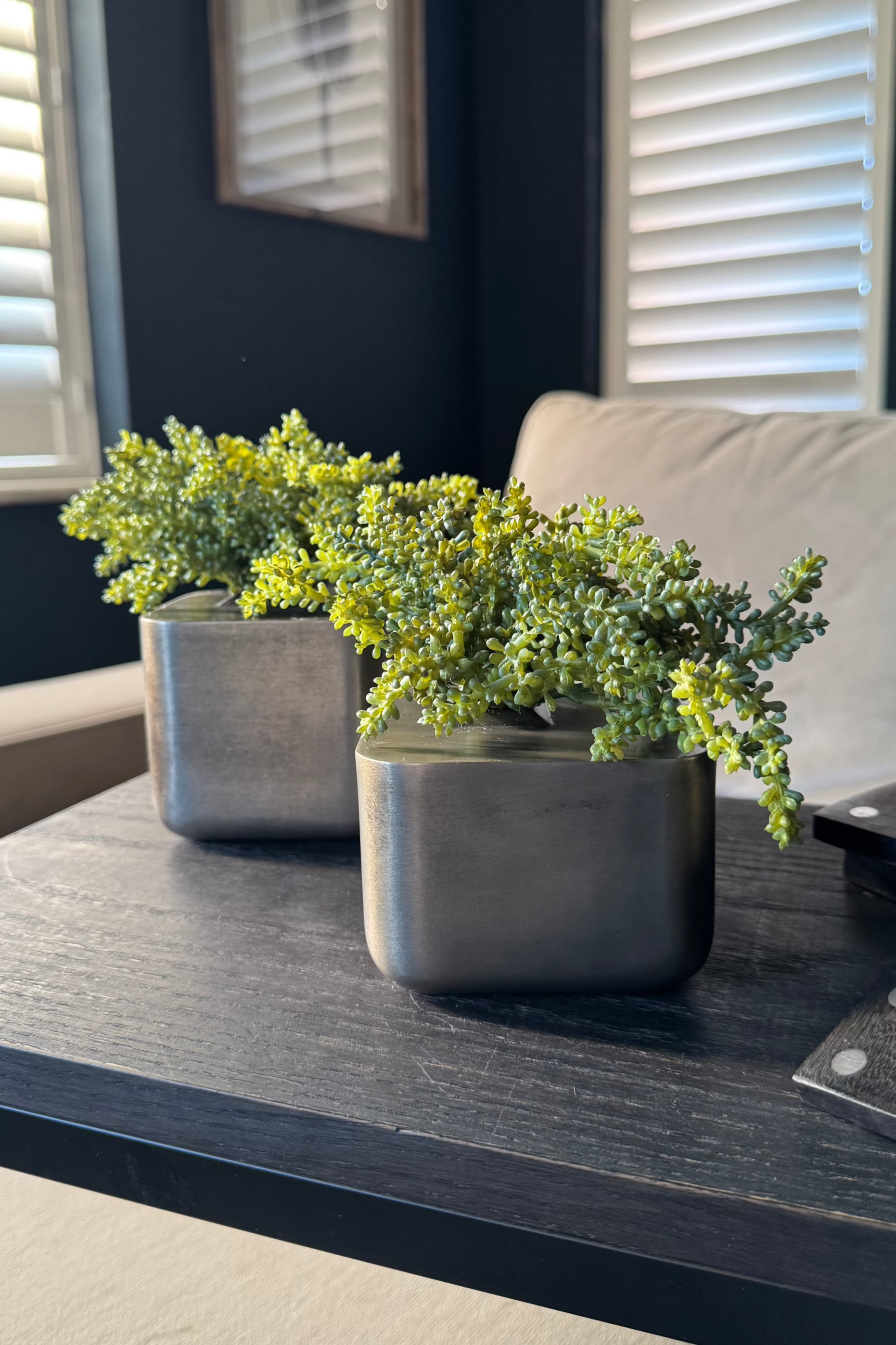 Mini Succulent in Metal Cubes (Set of Two) RTfact Flowers 
