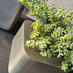 Mini Succulent in Metal Cubes (Set of Two) RTfact Flowers 
