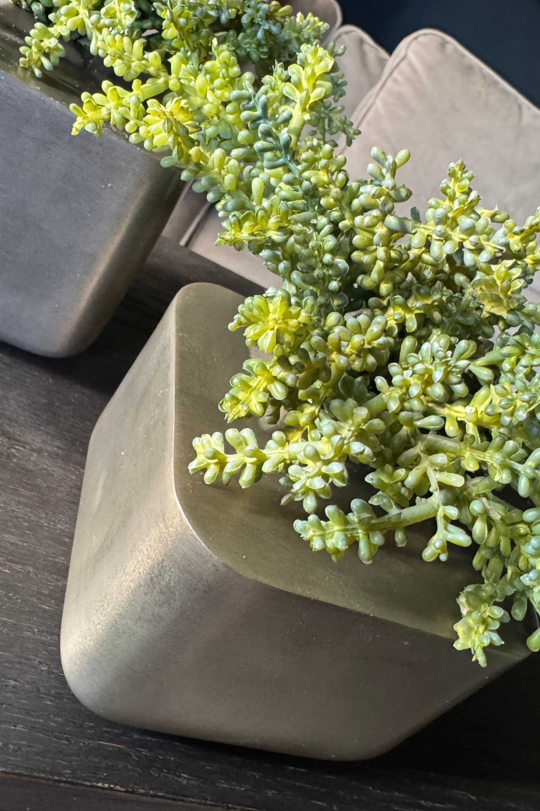 Mini Succulent in Metal Cubes (Set of Two) RTfact Flowers 