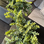 Mini Succulent in Metal Cubes (Set of Two) RTfact Flowers 