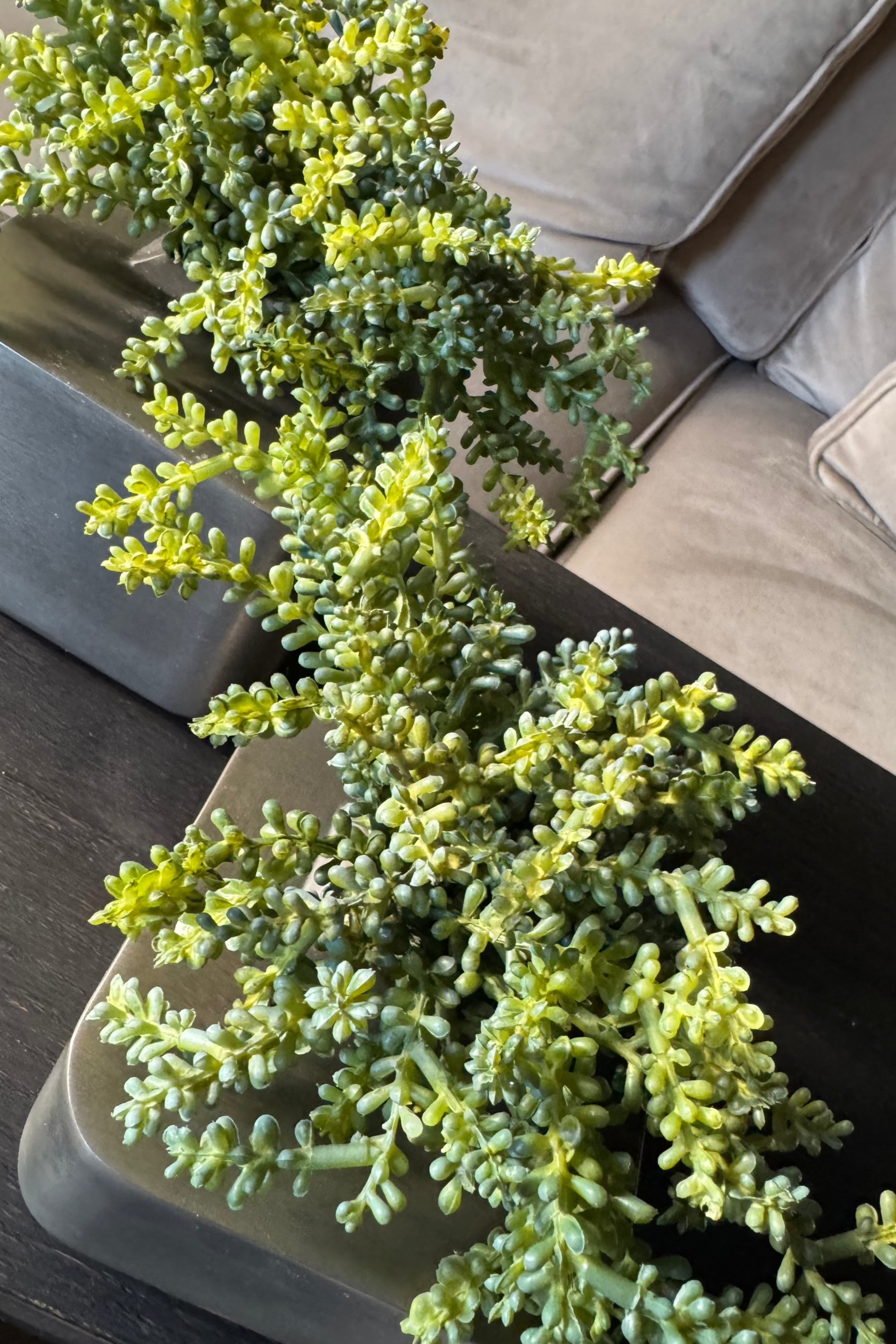 Mini Succulent in Metal Cubes (Set of Two) RTfact Flowers 