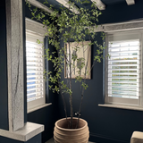 Artificial Pittosporum tree RTfact Flowers 