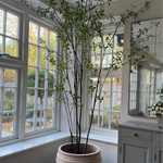 Artificial Pittosporum tree RTfact Flowers 