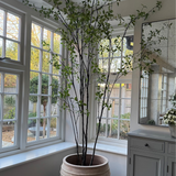 Artificial Pittosporum tree RTfact Flowers 