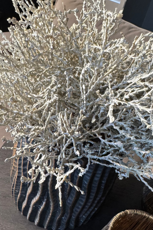 Curly Grass in a Bronze Wavy Pot