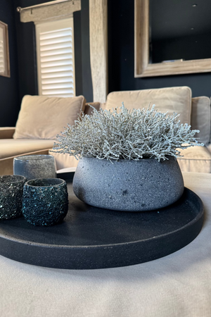 Curly Grass in a Dark Grey Mottled Stone Bowl