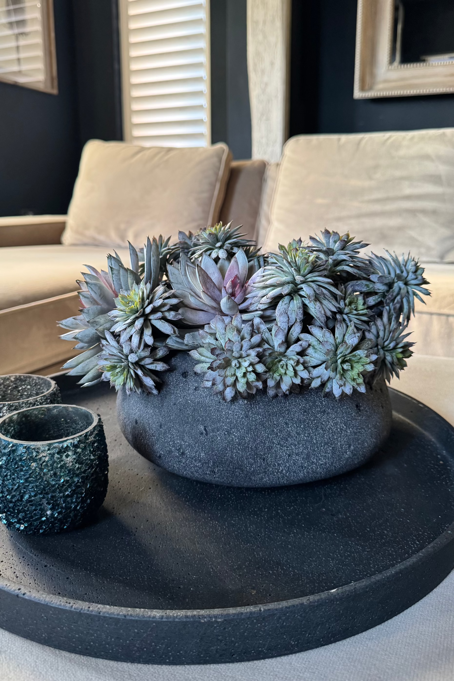 Mixed Succulents in a Dark Grey Mottled Stone Bowl RTfact Flowers 