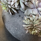 Mixed Succulents in a Dark Grey Mottled Stone Bowl RTfact Flowers 