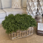 Mind Your Own Business in a Square Basket RTfact Flowers 