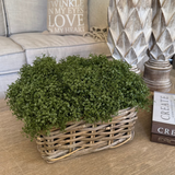 Mind Your Own Business in a Square Basket RTfact Flowers 