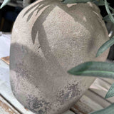 Olive Branches in a Rustic Concrete Vase