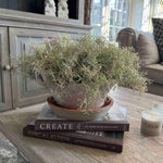Faux Spanish Moss in a Terracotta Bowl Rtfact Flowers