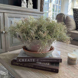 Faux Spanish Moss in a Terracotta Bowl Rtfact Flowers