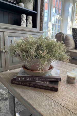 Faux Spanish Moss in a Terracotta Bowl Rtfact Flowers