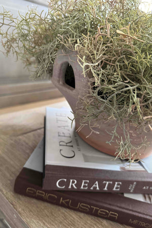 Spanish Moss in a Terracotta Bowl RTfact Flowers 