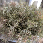Spanish Moss in a Terracotta Bowl RTfact Flowers 