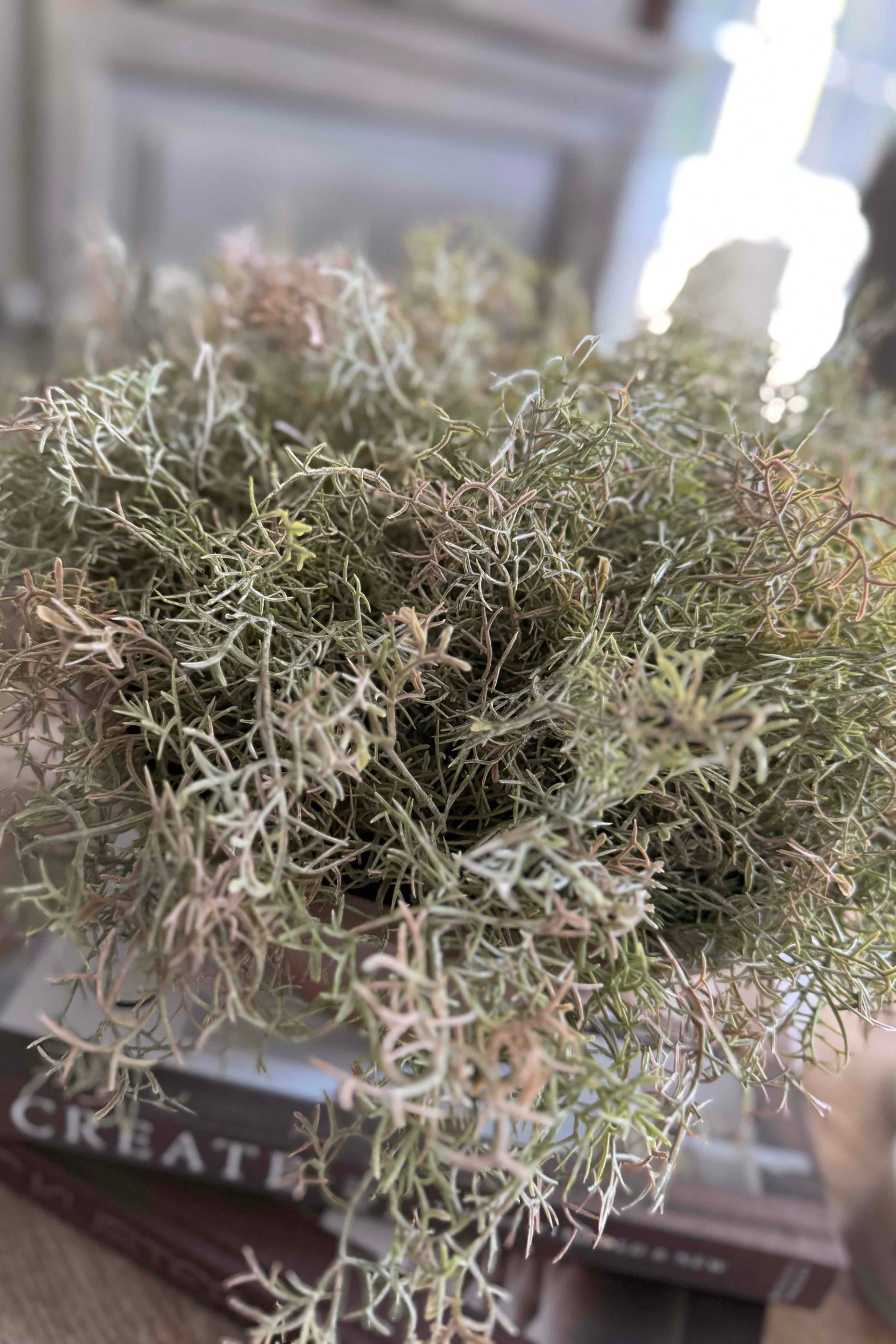 Spanish Moss in a Terracotta Bowl RTfact Flowers 