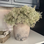 Spanish Moss in a Stone Vase RTfact Flowers 