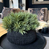 Spiky Succulents in a Charred Wood Effect Bowl RTfact Flowers 