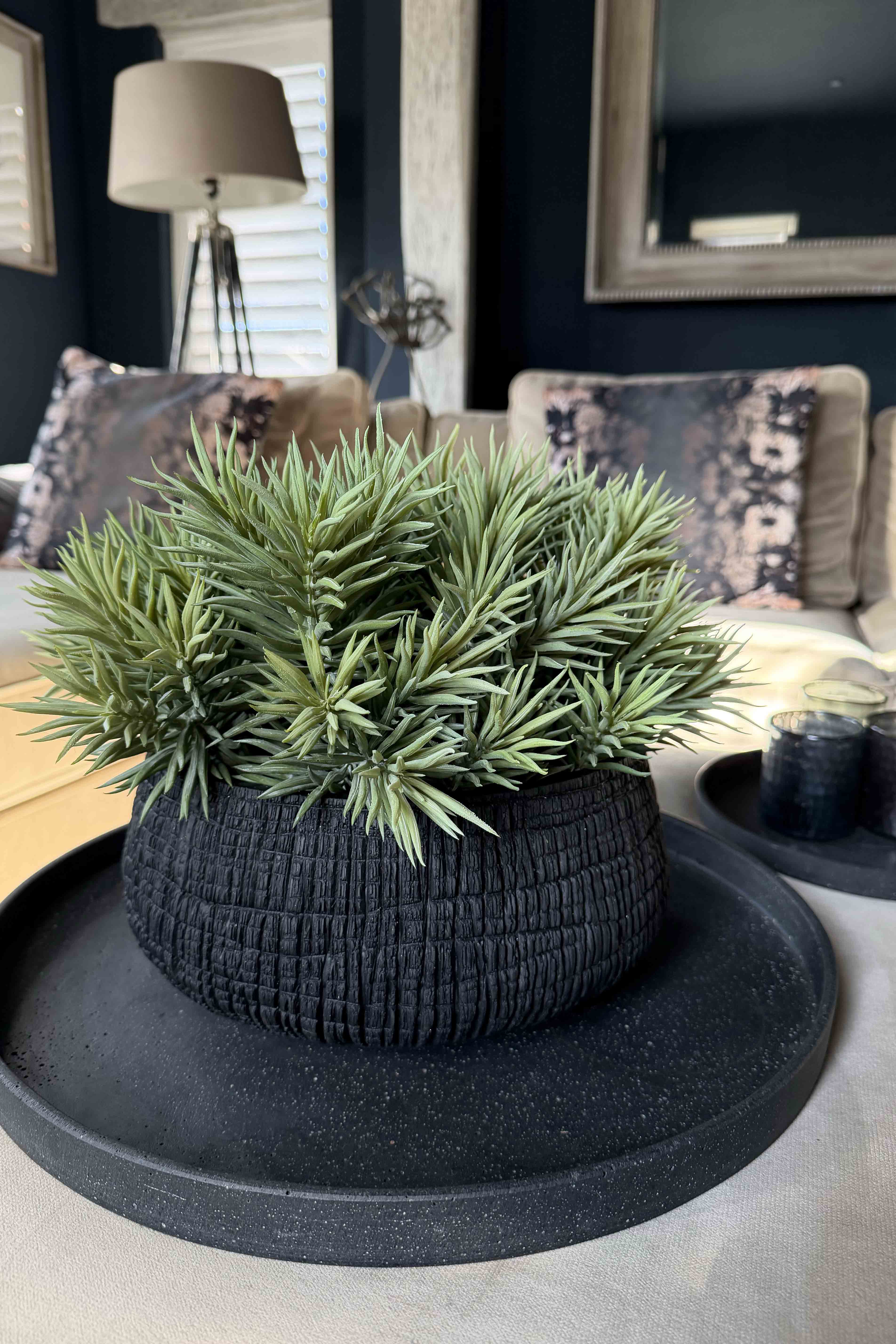 Spiky Succulents in a Charred Wood Effect Bowl RTfact Flowers 