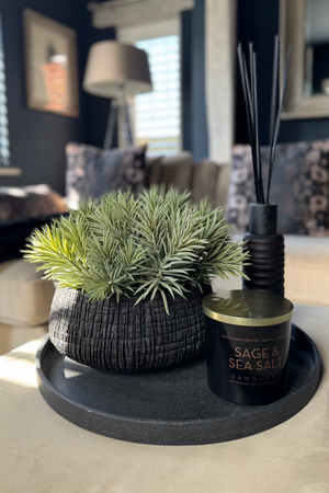 Spiky Succulents in a Charred Wood Effect Bowl