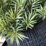 Spiky Succulents in a Charred Wood Effect Bowl RTfact Flowers 
