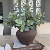 Eucalyptus in a Dark Brown Clay Pot RTfact Flowers 