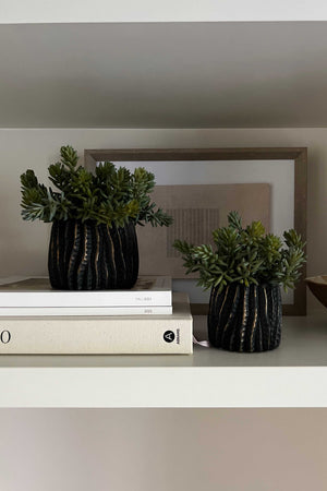 Mini Spiky Succulents in a Bronze Wavy Pot