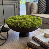 Curly Moss in a Brown Footed Stone Bowl RTfact Flowers 