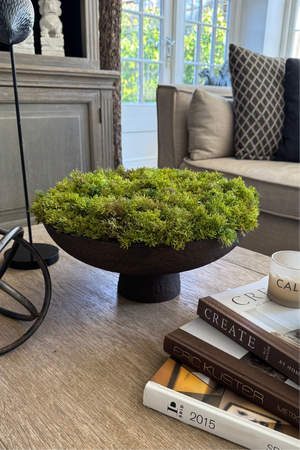 Curly Moss in a Brown Footed Stone Bowl